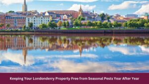Keeping Your Londonderry Property Free from Seasonal Pests Year After Year