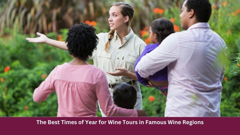 The Best Times of Year for Wine Tours in Famous Wine Regions