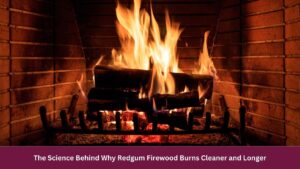 The Science Behind Why Redgum Firewood Burns Cleaner and Longer