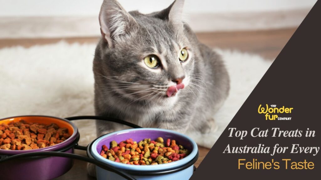 Top Cat Treats in Australia for Every Feline's Taste