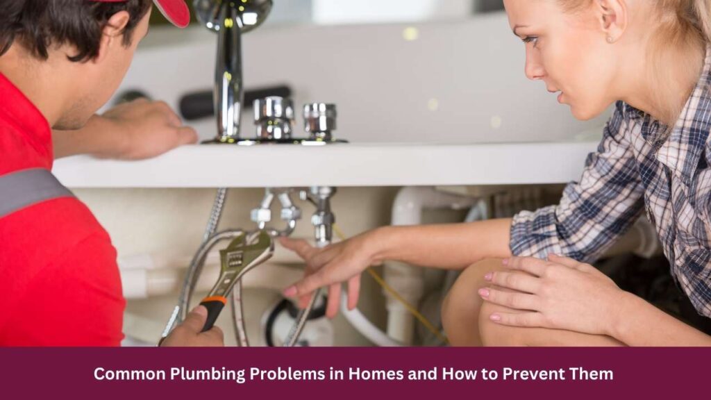 Common Plumbing Problems in Homes and How to Prevent Them 