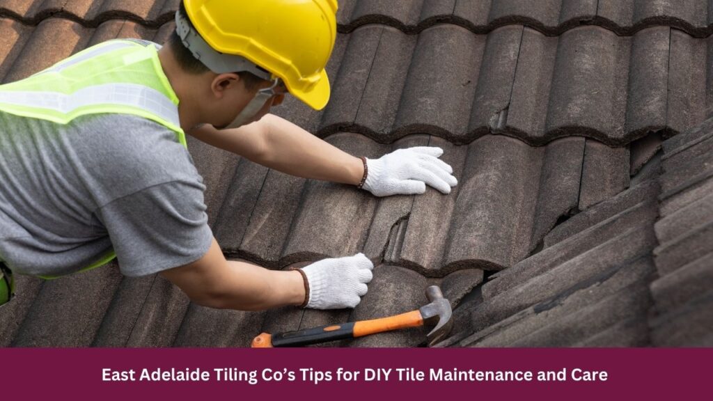 East Adelaide Tiling Co’s Tips for DIY Tile Maintenance and Care 