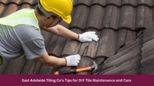East Adelaide Tiling Co’s Tips for DIY Tile Maintenance and Care 