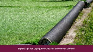 Expert Tips for Laying Roll-Out Turf on Uneven Ground 