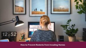 How to Prevent Rodents from Invading Homes 