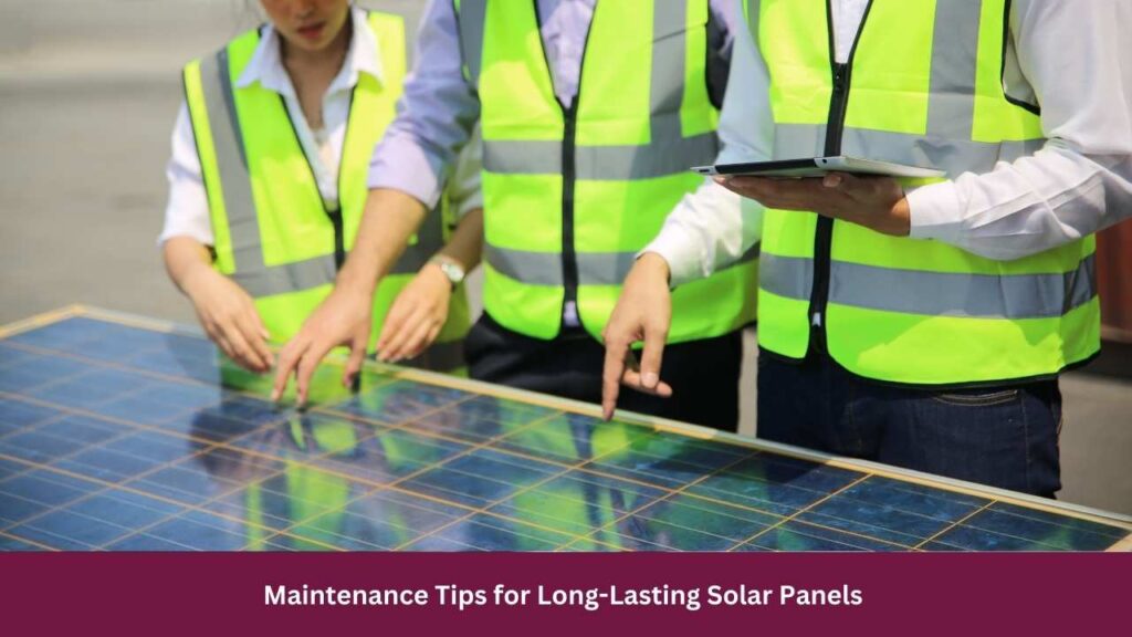 Maintenance Tips for Long-Lasting Solar Panels 