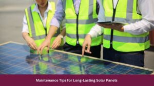 Maintenance Tips for Long-Lasting Solar Panels 