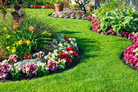 Sustainable Landscaping Practices for Eco-Friendly Austin Yards