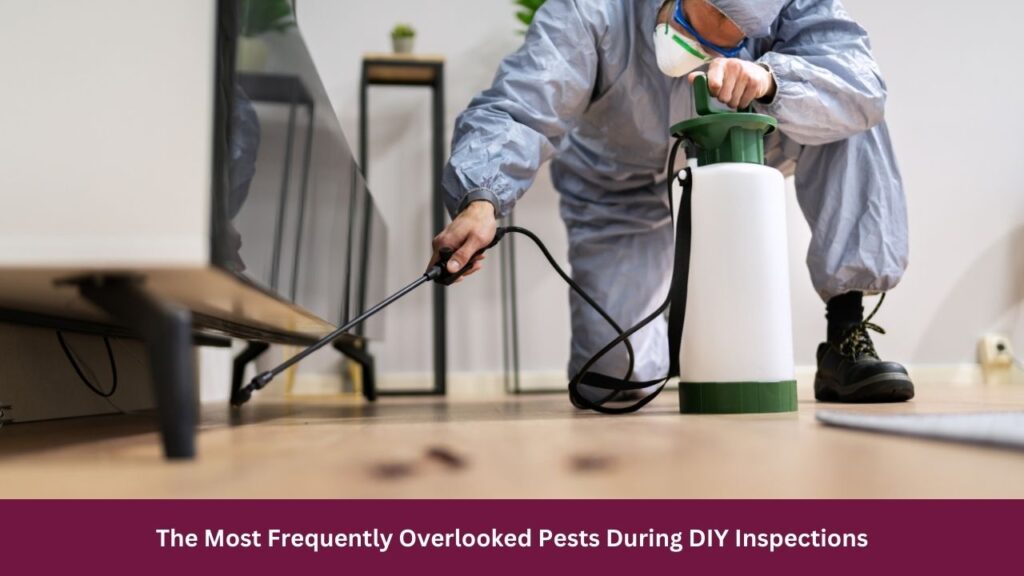 The Most Frequently Overlooked Pests During DIY Inspections