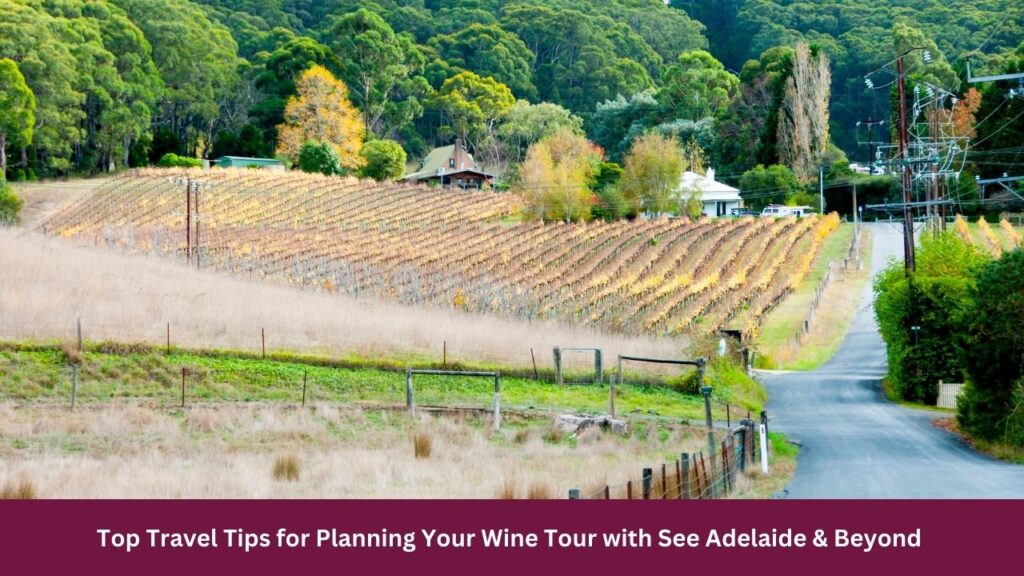 Top Travel Tips for Planning Your Wine Tour with See Adelaide & Beyond 