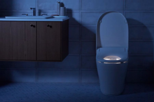 Why Japanese Toilets Are Considered the Best in the World