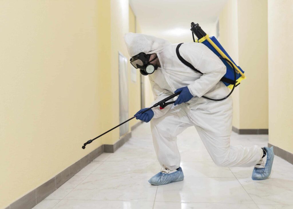 Pest Control Sydney