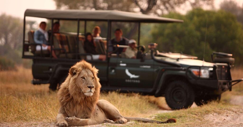 Discover Gir National Park