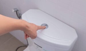 Toilet Flush System