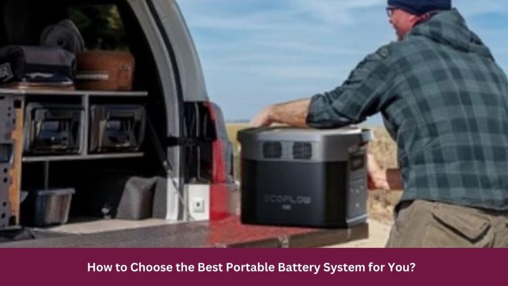 How to Choose the Best Portable Battery System for You?  