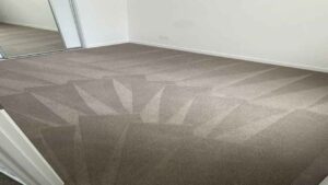 Regular-Carpet-Cleaning