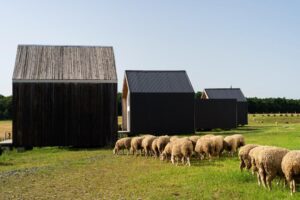Why Barndominium Kits Are the Future of Rural Living