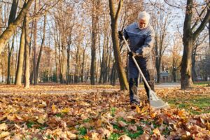 municipal-male-worker-age-using-fan-rake-gather-fallen-leaves-autumn-low-angle-view-gray_7502-10262