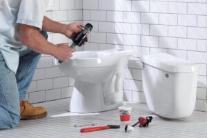 Repair a Leaking Toilet