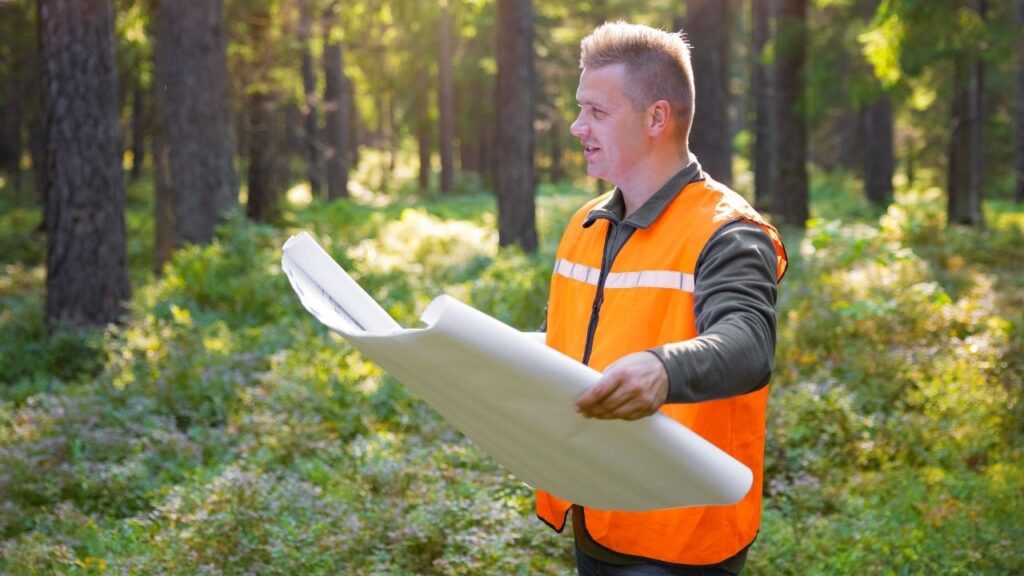 Sustainable Forest Management Looks