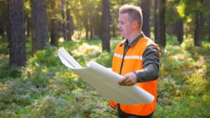 Sustainable Forest Management Looks