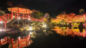 The Key Features of Safe and Aesthetic Garden Lighting Options