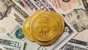 The Process of Creating and Setting Up a New Crypto Wallet