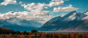Travel Tips for Visiting