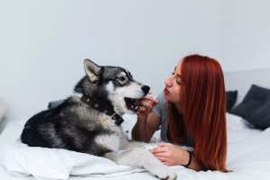 Why Every Pet Needs a Comfy, Supportive Pillow