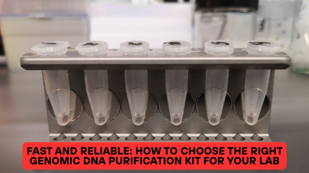 Fast and Reliable: How to Choose the Right Genomic DNA Purification Kit for Your Lab