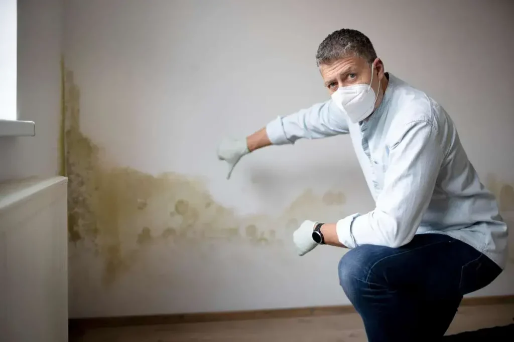 Indoor Air Quality