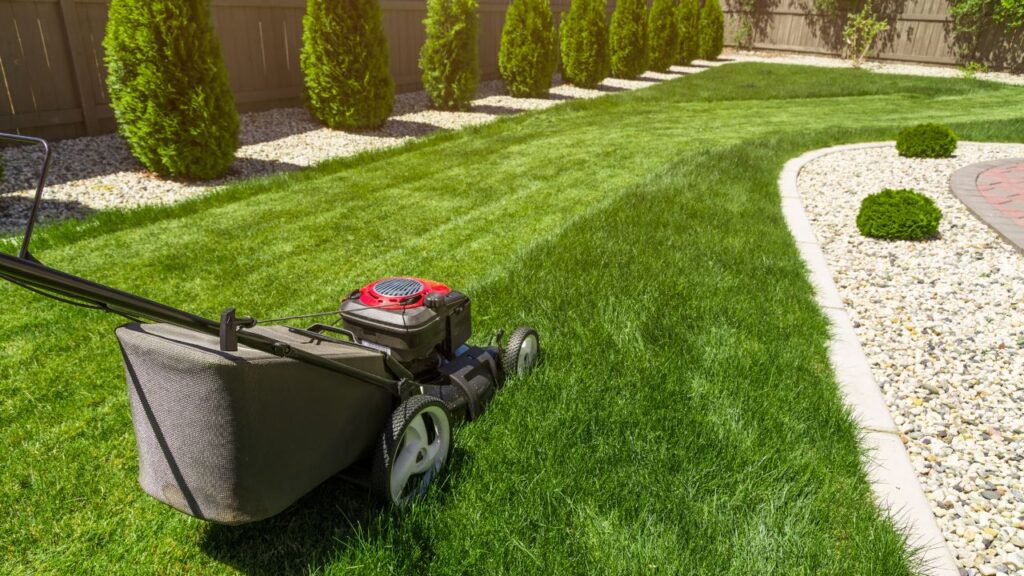 Artificial Lawn Maintenance Tools