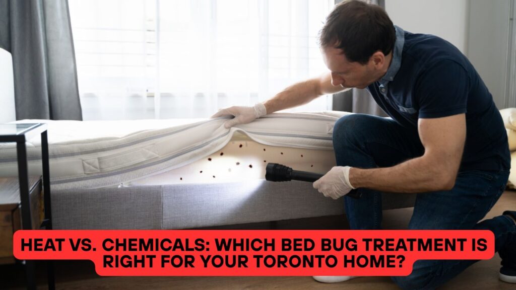 Heat vs. Chemicals: Which Bed Bug Treatment Is Right for Your Toronto Home?