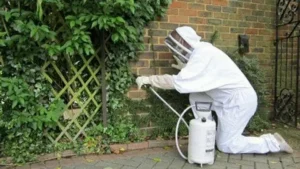 Honest Rodent Proofing Inc