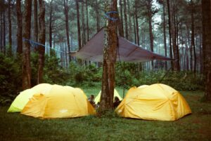 How to Prepare for Your First Job as a Camp Counselor