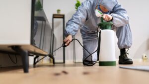 Pre-Purchase Pest Inspection Timeline