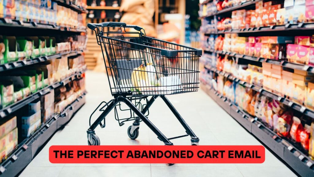 The Perfect Abandoned Cart Email