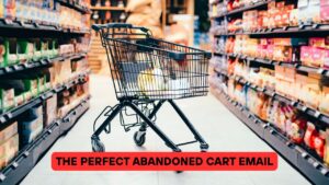 The Perfect Abandoned Cart Email