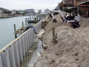 The Unsung Heroes of Coastal Protection