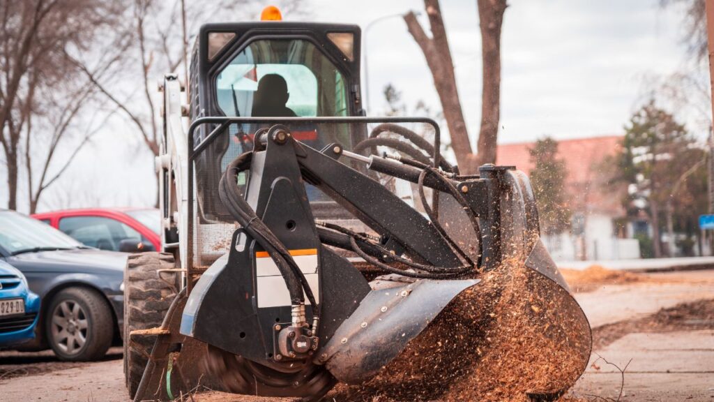 Tree Removal for New Construction