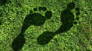 Carbon Footprint
