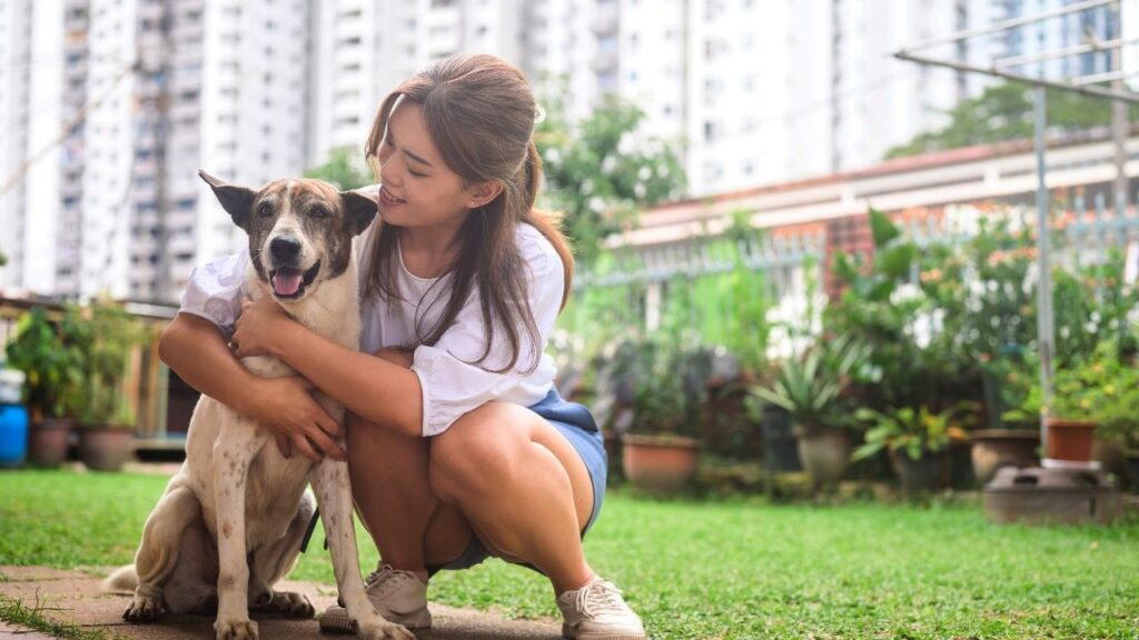 Daily Pet Care Tips for Busy Dog Owners