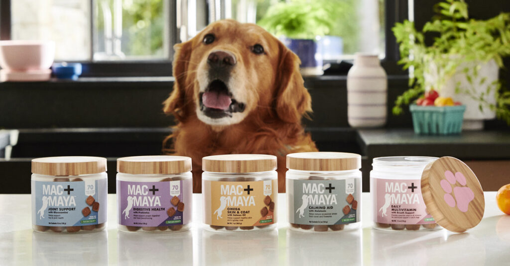 quality nutrition for dogs