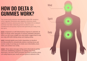 How Delta 10 Gummies Affect the Body Compared to Delta 8