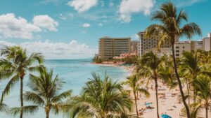 Landscape Designers in Honolulu HI