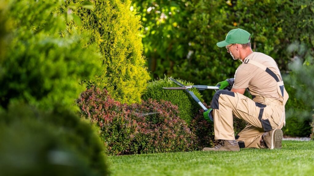 Outdoor Maintenance Checklist for Homeowners