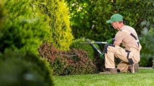 Outdoor Maintenance Checklist for Homeowners