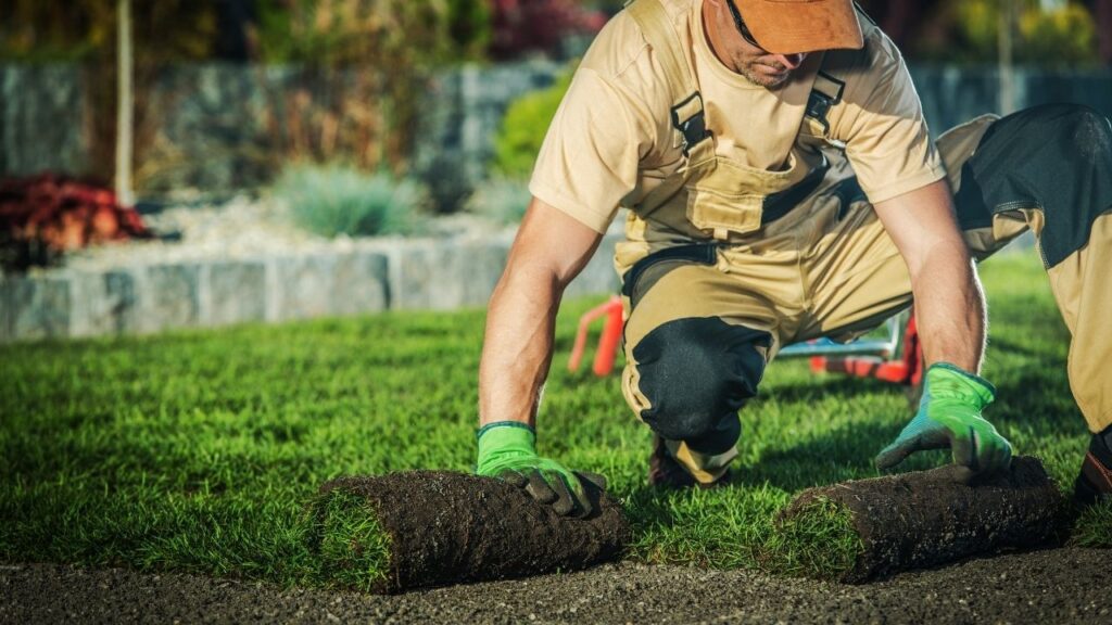 Smart Landscaping