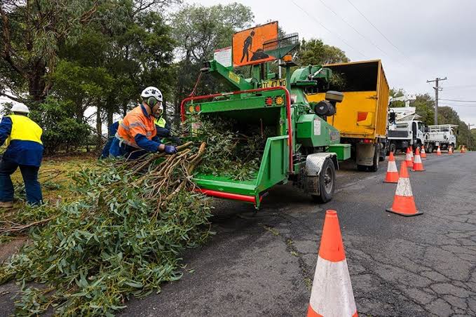 tree removal on Pennant Hills