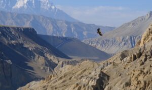 Why Upper Mustang Trek Is Nepal's Most Mysterious and Rewarding Adventure